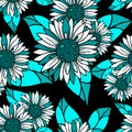 seamless white and blue pattern of decorative sunflowers on a black background Royalty Free Stock Photo