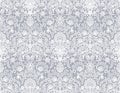 Seamless white lace Royalty Free Stock Photo
