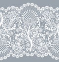 Seamless white lace Royalty Free Stock Photo