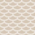 Seamless white lace Royalty Free Stock Photo