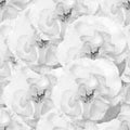 White seamless monochrome pattern with roses.