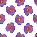 Seamless wild floral pattern with nasturtium. Bright hibiscus flowers on white background. Botanical Motifs scattered random. Royalty Free Stock Photo