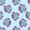 Seamless wild floral pattern with nasturtium. Hibiscus flowers on light blue background. Botanical Motifs scattered random. Royalty Free Stock Photo