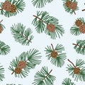 Seamless winter floral pattern with evergreen cone and coniferous plant branch. Christmas texture. Winter forest background Royalty Free Stock Photo