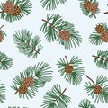 Seamless winter floral pattern with evergreen cone and coniferous plant branch. Christmas texture. Winter forest background