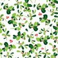 Seamless winter floral pattern. Flat vector Christmas background with holly berry plant. Green leaves and red berries in tile Royalty Free Stock Photo