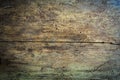 Seamless wood texture lumber eaten by bark beetles