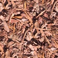 Seamless wooden chips on the ground texture. background. Royalty Free Stock Photo