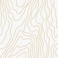Seamless wooden fiber pattern. Light golden wood, grain texture. Abstract background. Vector illustration Royalty Free Stock Photo