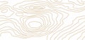 Wood Grain Texture. Seamless Wooden Pattern. Abstract Line Background. Vector Illustration