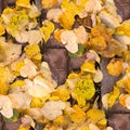 Seamless yellow autumn leaves on the sidewalk tiles. background.