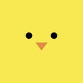 Seamless yellow chick pattern. Baby hen background eyes and beak