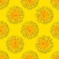 Seamless yellow flower patterm. Dandelion flower summer background close up
