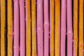 Seamless yellow pink bamboo stick striped pattern