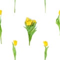 Seamless Yellow Tulips Bunch