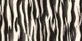 Seamless zebra fur textures. Black and white striped hairy background. Fluffy stripe monochrome pattern