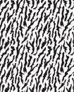 Seamless zebra pattern black and white vector background