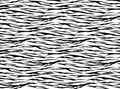Seamless zebra pattern black and white vector background Royalty Free Stock Photo