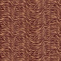 Seamless zebra pattern colorful texture of wood background closeup. Royalty Free Stock Photo