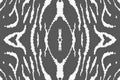 Seamless Zebra Pattern. Fashion African Texture.