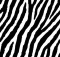 Seamless zebra pattern 80s 90s style.Fashionable exotic black and white animal print