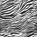 Seamless zebra pattern