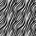 Seamless zebra print pattern on white background. Animal skin print texture. Vector flat illustration. Royalty Free Stock Photo