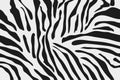 Seamless Zebra Skin Pattern, Background Texture Royalty Free Stock Photo