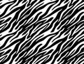 Seamless Zebra Tiger Pattern Textile Texture Print. Vector Background. Black white design for interior, clothes Royalty Free Stock Photo