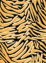 Seamless Zebra Tiger Worn Pattern Textile Texture. Distressed Vector Background. Orange Yellow Animal Skin Royalty Free Stock Photo
