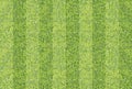 Seamlessly green grass texture background.