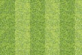 Seamlessly green grass texture background.