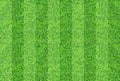 Seamlessly green grasses texture background.