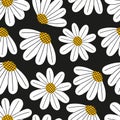 Seamlesss pattern of hand drawn doodle cute little chamomiles. Flowers on black background. Abstract colorful vector