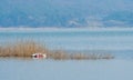 Seaplane laying upside down in river Royalty Free Stock Photo