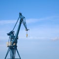 Seaport crane