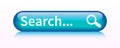 Search bar web page internet browser button, search box template isolated Ã¢â¬â for stock