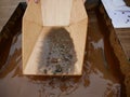 Search for gold nuggets in the gold-bearing rock in the old way using a wooden tray.