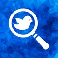 Search icon with flat white bird on a blue triangular polygonal Royalty Free Stock Photo