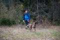 Rescuer and Dog Inspecting Woods Searching Missing Person