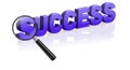 search success be a winner and the best successful