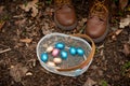 searching for easter eggs in the forest, Easter egg, Royalty Free Stock Photo