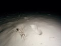 Searching of person disappeared in the winter landscape. Human footprints in deep snow.