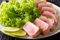 Seared ahi tuna in breading with lettuce and lime closeup on a p Royalty Free Stock Photo