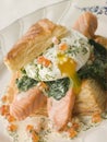 Seared Salmon Spinach and a Poached Egg Royalty Free Stock Photo