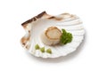 Seared scallop Royalty Free Stock Photo