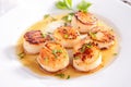 Seared scallop Royalty Free Stock Photo
