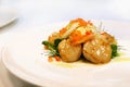 Seared scallop entree Royalty Free Stock Photo