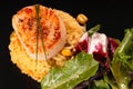 Seared scallop on saffron rice with salad Royalty Free Stock Photo