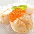 Seared Scallops Royalty Free Stock Photo